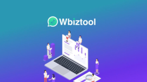 WbizTool review
