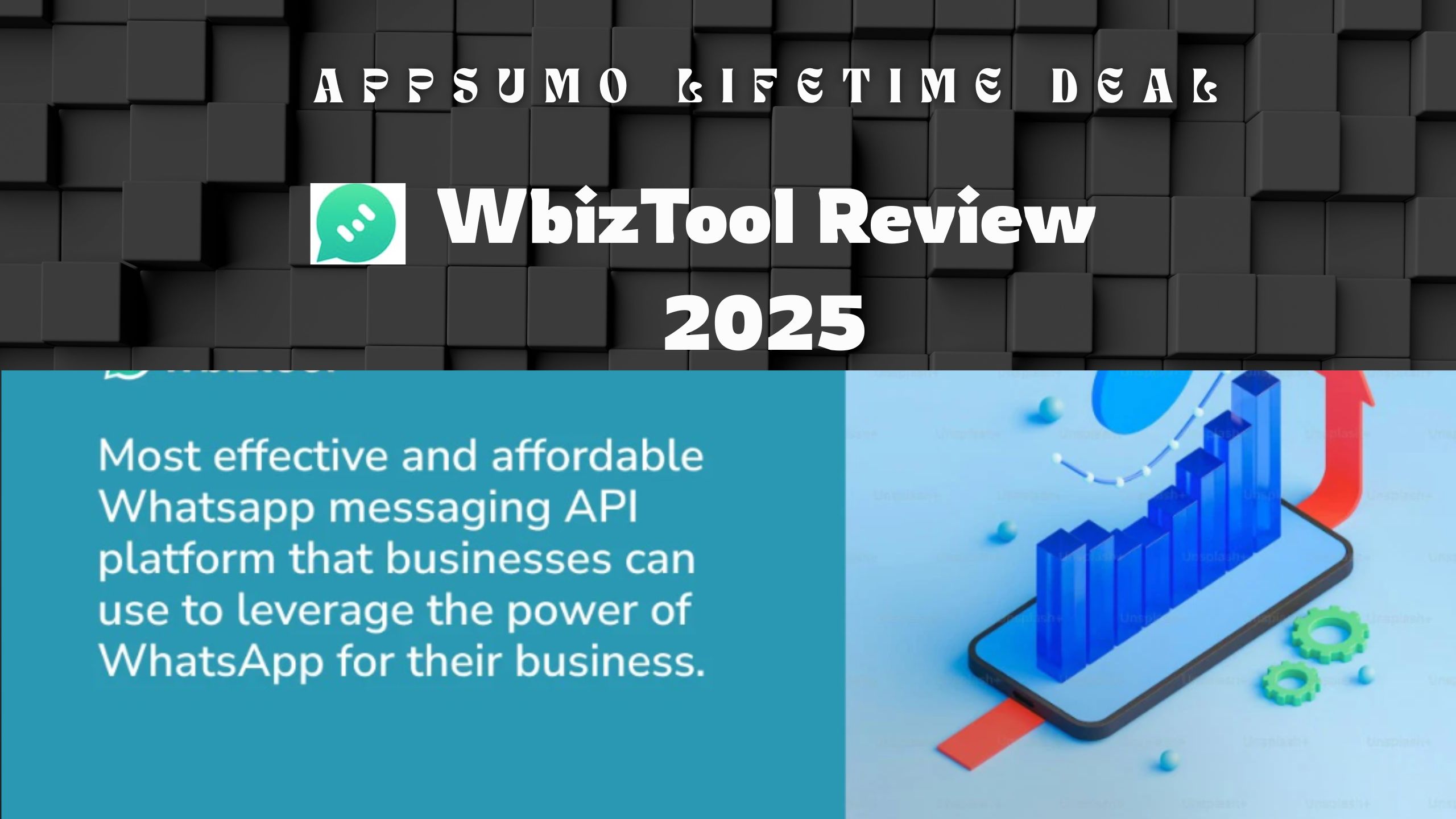 WbizTool Review (2025):
