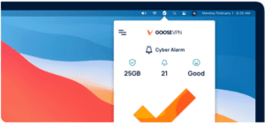 GOOSE VPN Review