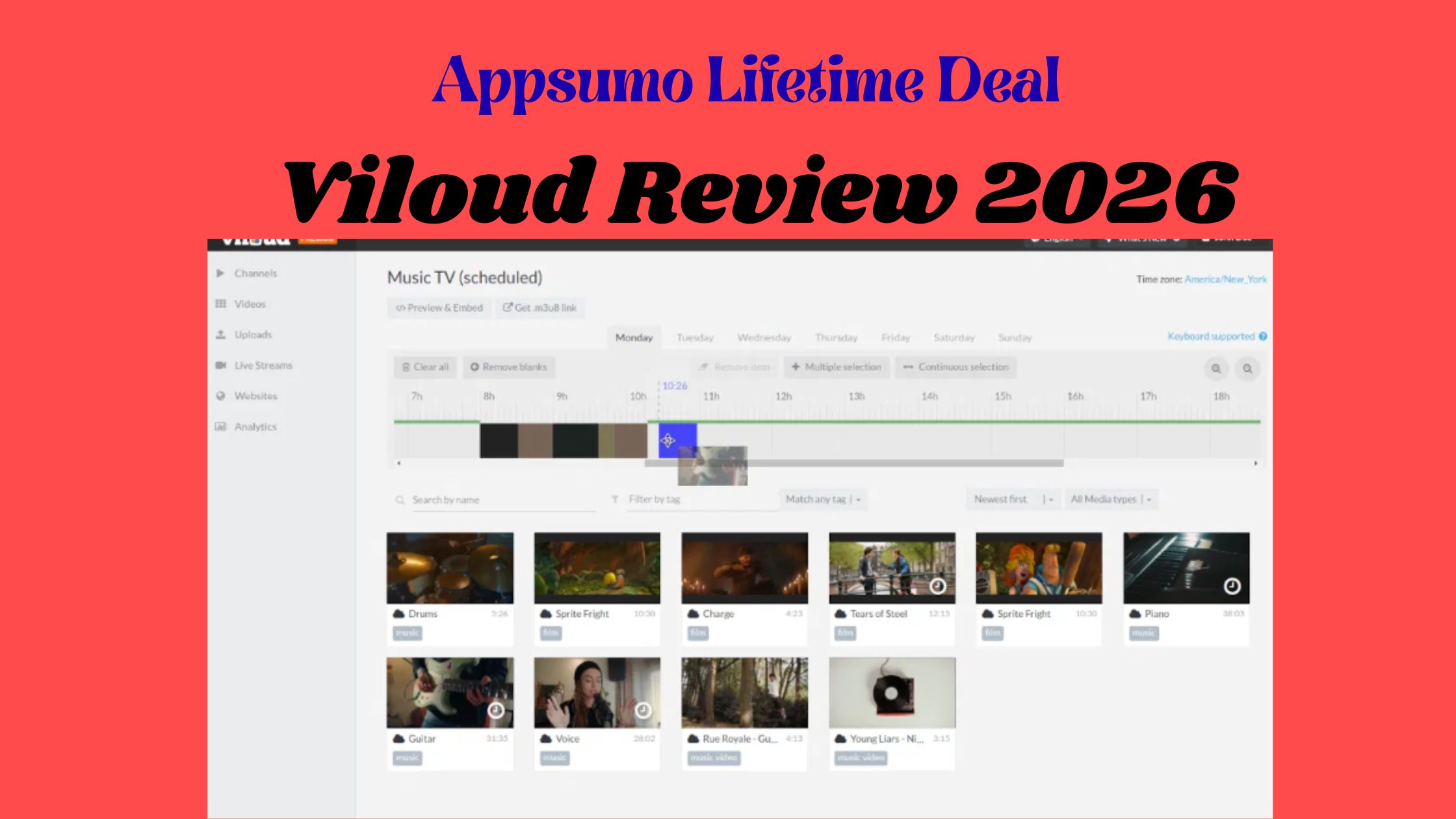 Complete Viloud Review 2026