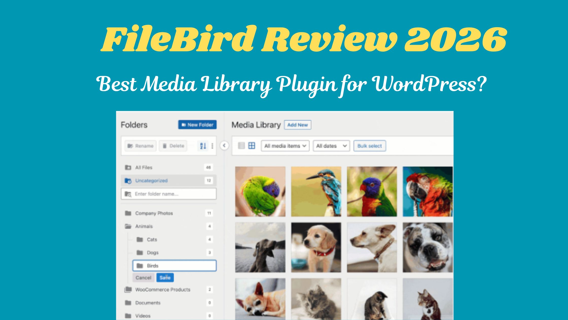 Powerful FileBird Review 2026