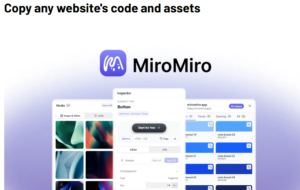 MiroMiro Review 2026