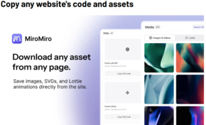 MiroMiro Review 2026